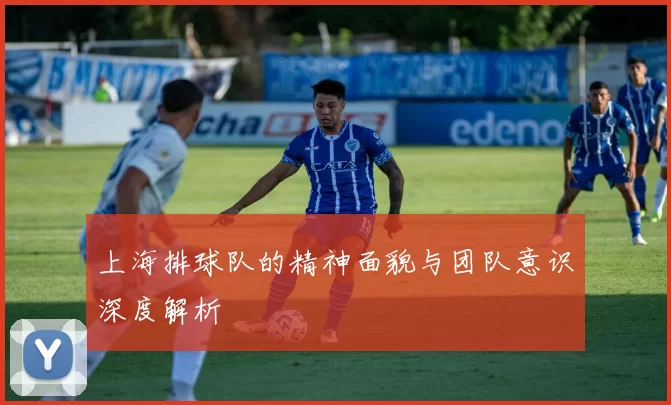 上海排球队的精神面貌与团队意识深度解析