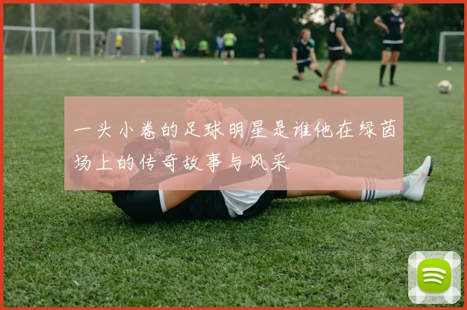 一头小卷的足球明星是谁他在绿茵场上的传奇故事与风采