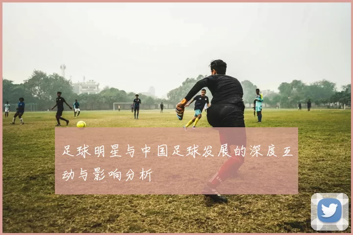 足球明星与中国足球发展的深度互动与影响分析