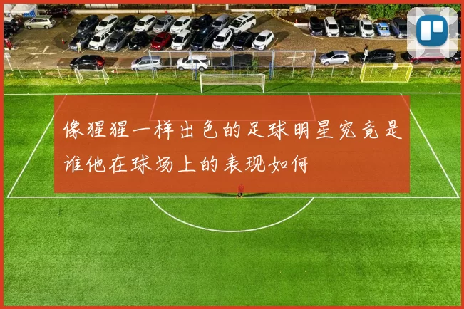 像猩猩一样出色的足球明星究竟是谁他在球场上的表现如何