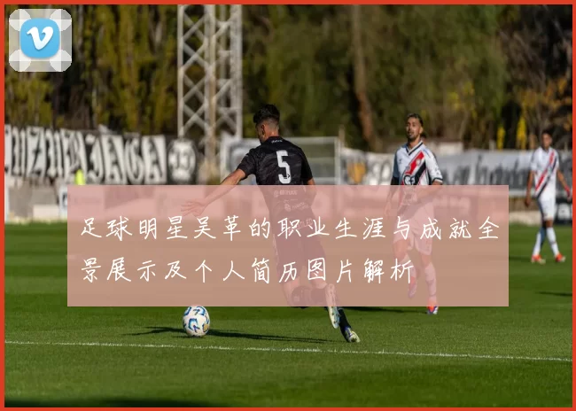 足球明星吴革的职业生涯与成就全景展示及个人简历图片解析