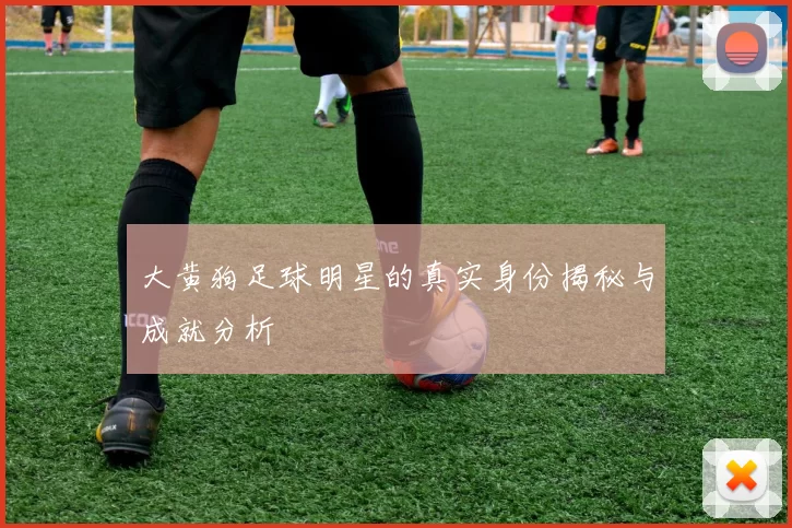 大黄狗足球明星的真实身份揭秘与成就分析