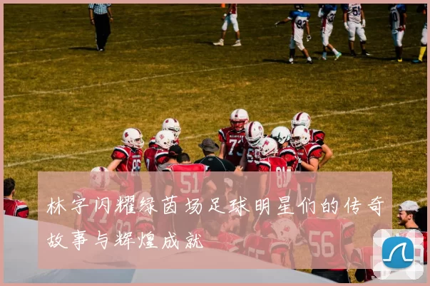 林字闪耀绿茵场足球明星们的传奇故事与辉煌成就