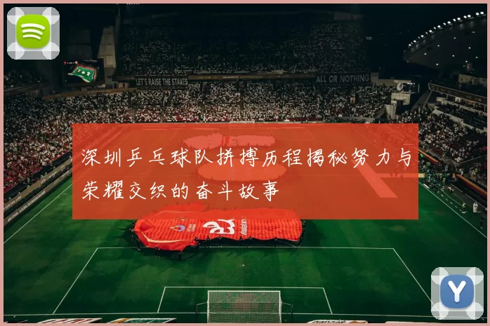 深圳乒乓球队拼搏历程揭秘努力与荣耀交织的奋斗故事